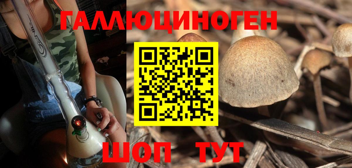 Галлюциногенные грибы Psilocybe Кудымкар