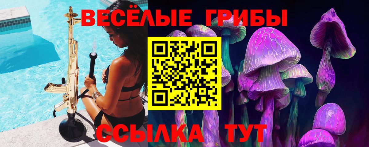 Кудымкар  Галлюциногенные грибы прущие грибы  Вход с VPN 